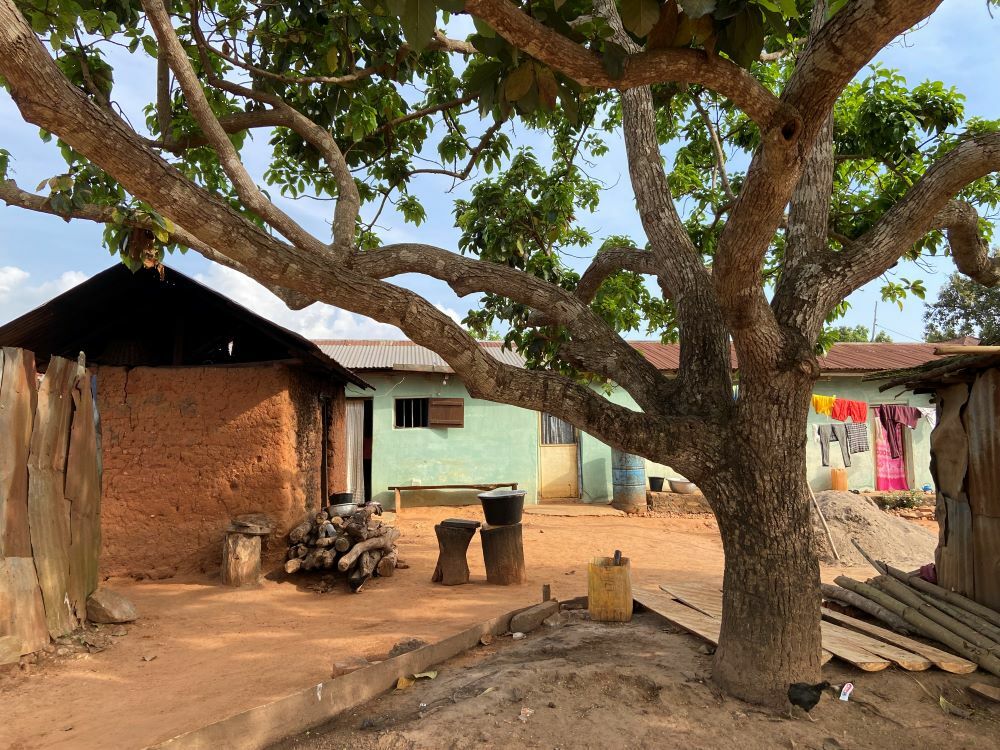 Lezay - Dany Elavagno